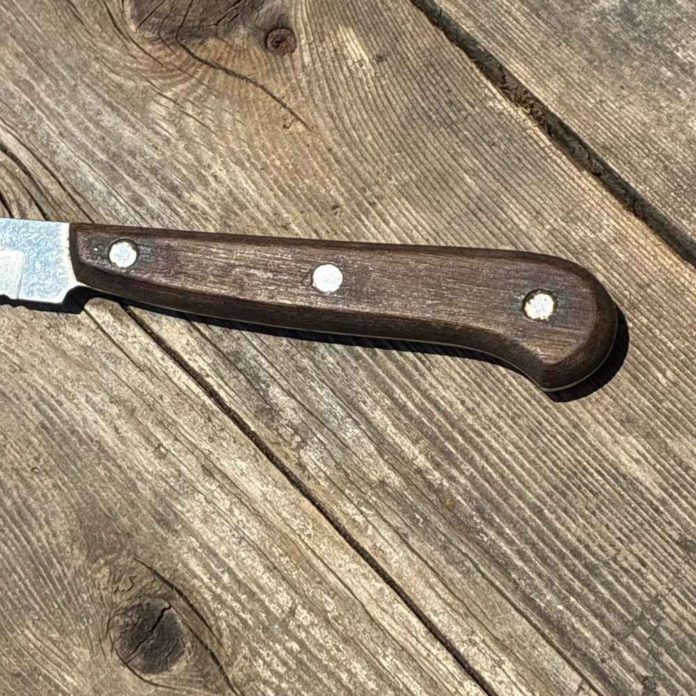 Medallion Bread Knife 9 Inch Blade Vintage Japan Stainless Steel Wood Handle